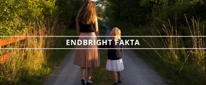 Endbright fakta - artikel skiljas med barn 2